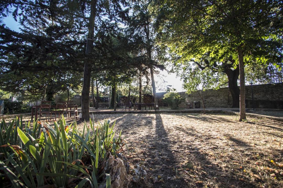 Masseria Citulo Il Pino Grande Βίλα Castel Del Monte  Εξωτερικό φωτογραφία